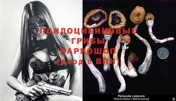 гидропоника Балабаново